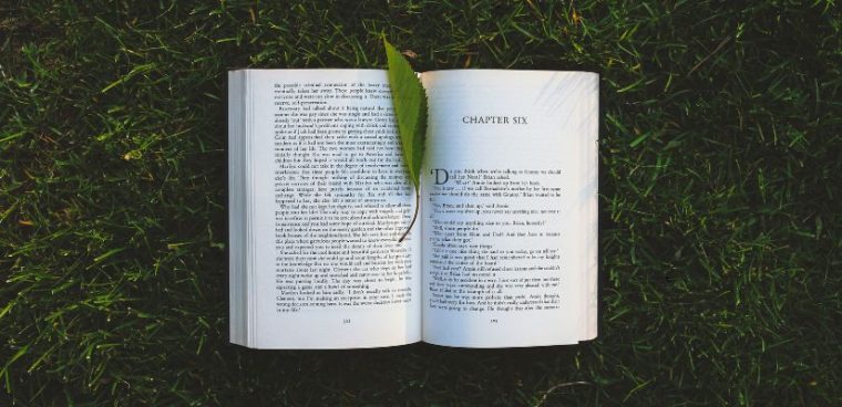 książka w języku angielskim