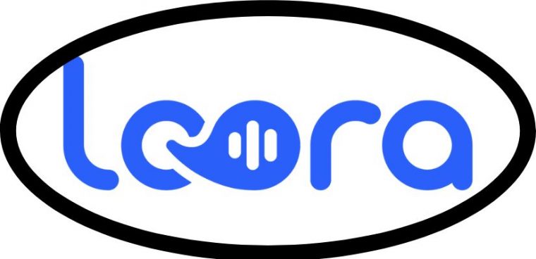 aplikacje do nauki angielskiego: loora